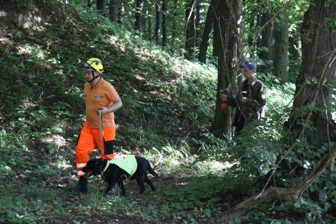 Рятувальники з лабрадором знайшли зниклого вінничанина. На жаль, пізно, фото №1 на сайті 20minut.ua