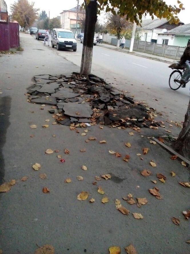 Козятин 31 жовтня, фото №1 на сайті 20minut.ua