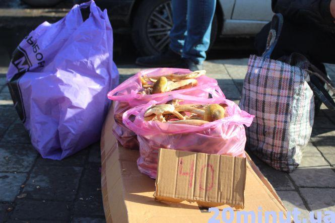 Новини Тернополя - фото з Попри сезон, гриби на ринку у Тернополі знайти важко Попри сезон, гриби на ринку у Тернополі знайти важко, фото №1 на сайті 20minut.ua