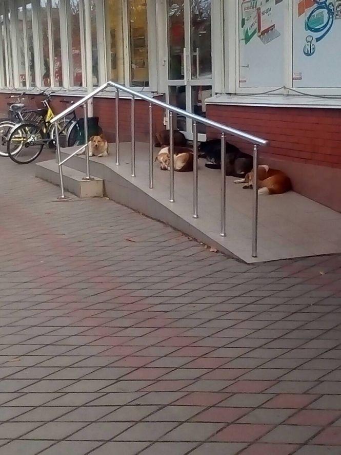 Козятин 31 жовтня, фото №5 на сайті 20minut.ua