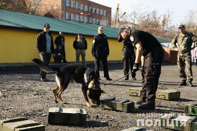 Шукали наркотики та вибухівку: як польські кінологи навчалися у Хмельницькому, фото №2 на сайті vsim.ua