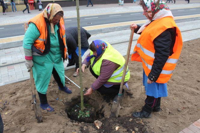 Новини Вінниці - фото з «Чоловіки наш темп не витримують». Які дерева висаджують на Замостянській «Чоловіки наш темп не витримують». Які дерева висаджують на Замостянській, фото №2 на сайті 20minut.ua