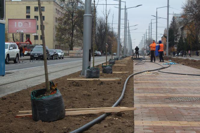 Новини Вінниці - фото з «Чоловіки наш темп не витримують». Які дерева висаджують на Замостянській «Чоловіки наш темп не витримують». Які дерева висаджують на Замостянській, фото №1 на сайті 20minut.ua