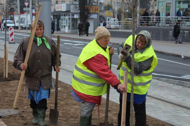 Новини Вінниці - фото з «Чоловіки наш темп не витримують». Які дерева висаджують на Замостянській «Чоловіки наш темп не витримують». Які дерева висаджують на Замостянській, фото №4 на сайті 20minut.ua