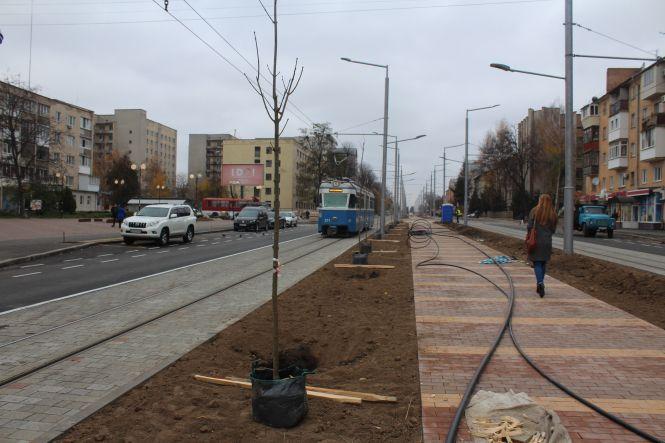 Новини Вінниці - фото з «Чоловіки наш темп не витримують». Які дерева висаджують на Замостянській «Чоловіки наш темп не витримують». Які дерева висаджують на Замостянській, фото №6 на сайті 20minut.ua