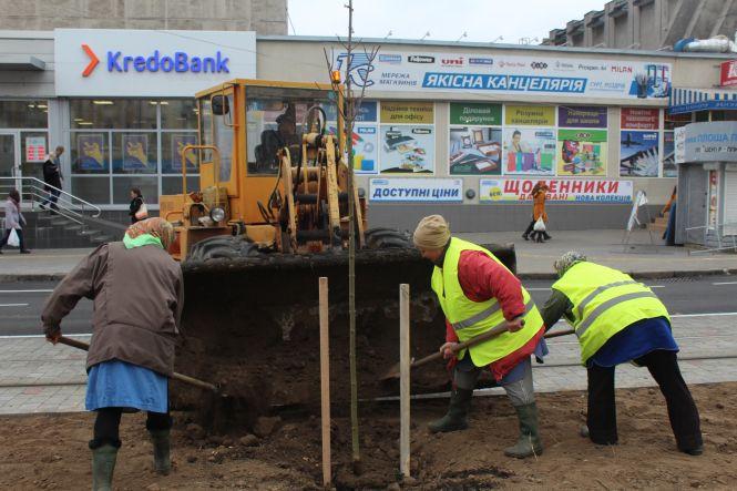 Новини Вінниці - фото з «Чоловіки наш темп не витримують». Які дерева висаджують на Замостянській «Чоловіки наш темп не витримують». Які дерева висаджують на Замостянській, фото №3 на сайті 20minut.ua