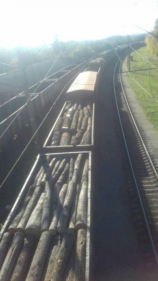 Козятинський вокзал 4.11.2018, фото №15 на сайті 20minut.ua