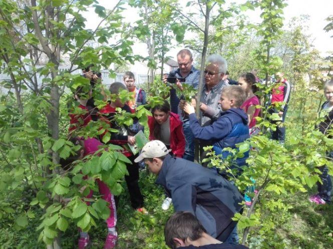 Ідеї, які змінять околиці Вінниці в 2019 році: визначили переможців «Бюджету громадських ініціатив», фото №6 на сайті 20minut.ua