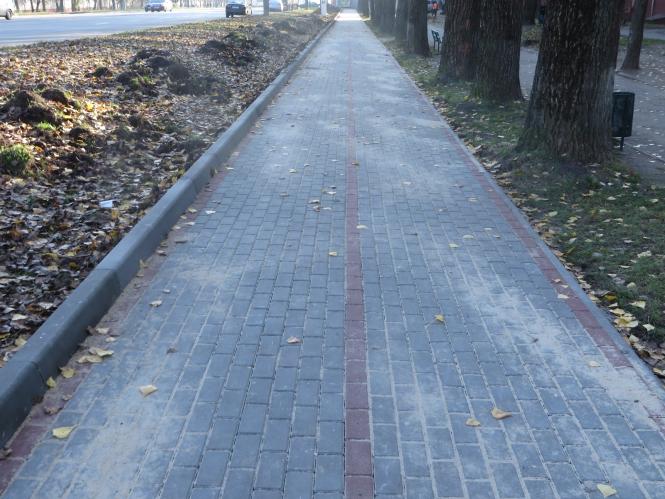 Новини Хмельницького - фото з На проспекті Миру будують велодоріжку за 2,7 мільйона На проспекті Миру будують велодоріжку за 2,7 мільйона, фото №2 на сайті vsim.ua