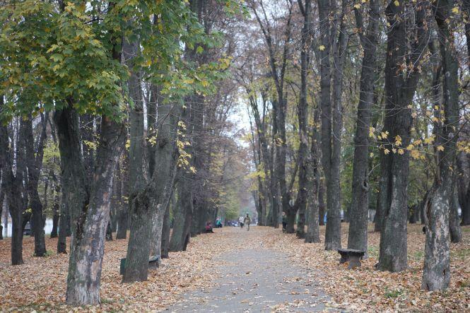 Новини Вінниці - фото з Вінницька Варшава: чи буде тут щось, крім новобудов Вінницька Варшава: чи буде тут щось, крім новобудов, фото №16 на сайті 20minut.ua