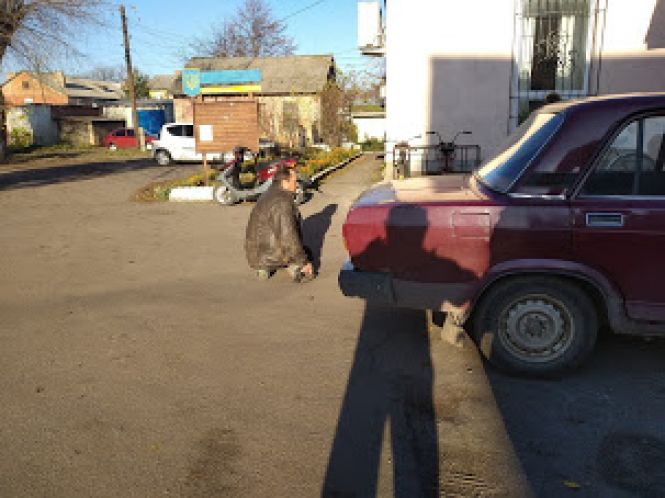 Через торту́ри.  Організатор: Козятинська міська рада, фото №1 на сайті 20minut.ua