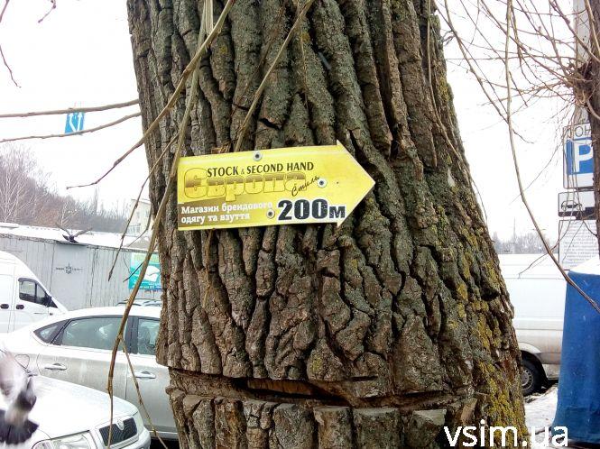 Хто і як має чистити Хмельницький від стихійної реклами, фото №8 на сайті vsim.ua