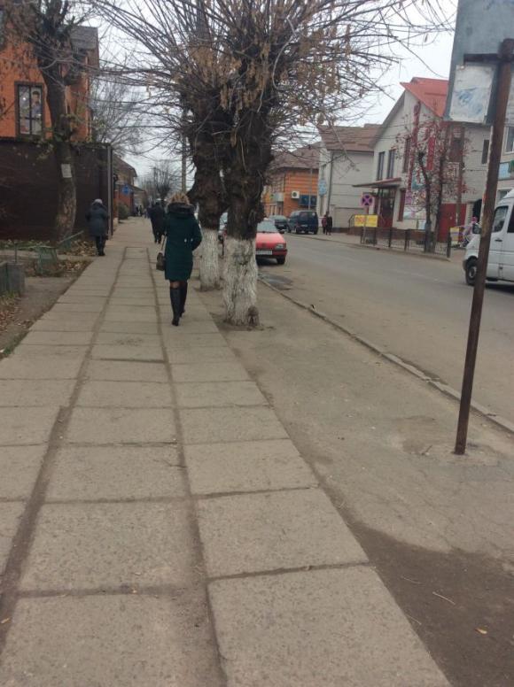 Новий тиждень листопада у Козятині, фото №24 на сайті 20minut.ua