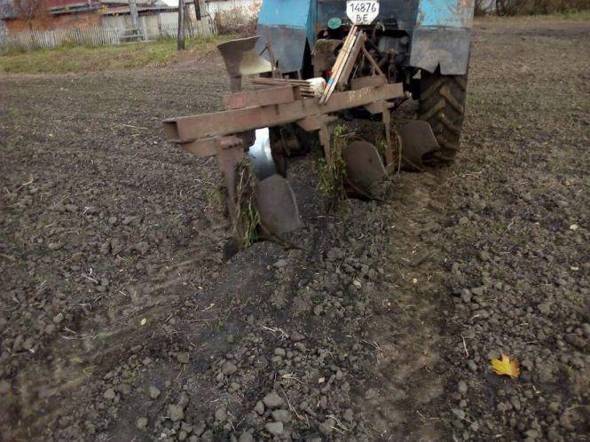 Один гусак поля не витопче, а трактором — запросто! Ще й задушить
Не сусідські війни по Махаринецьки, фото №3 на сайті 20minut.ua