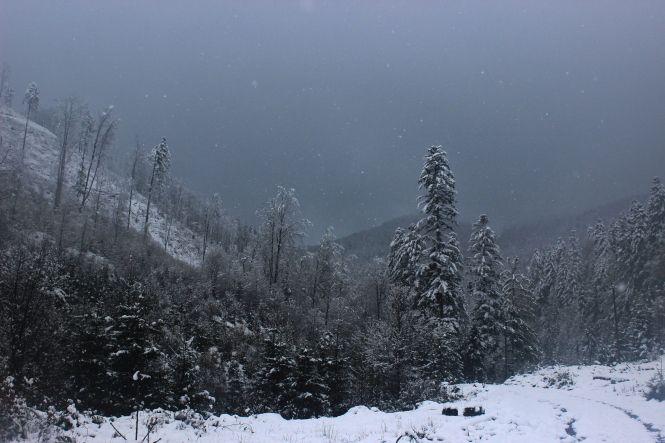 Про фотографію і красу життя. Інтерв'ю з фотохудожником Кам'янця, фото №4 на сайті 20minut.ua