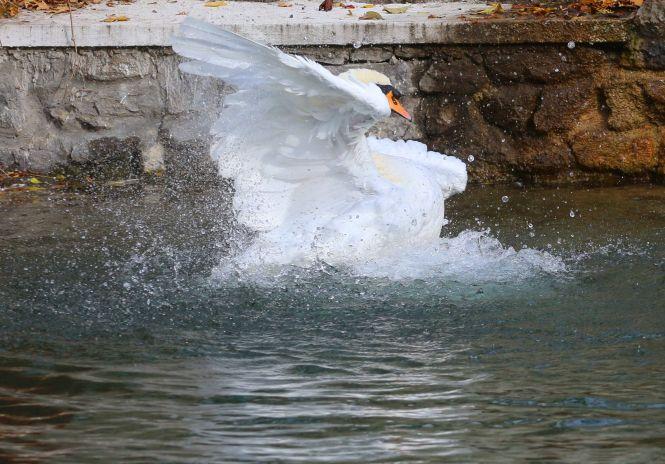 Про фотографію і красу життя. Інтерв'ю з фотохудожником Кам'янця, фото №1 на сайті 20minut.ua