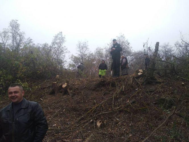 Новини Кам'янця-Подільського - фото з Лісоруби з Чернівців порубали «нічийні дерева» Кам’янеччини Лісоруби з Чернівців порубали «нічийні дерева» Кам’янеччини, фото №1 на сайті 20minut.ua