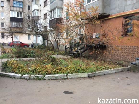 Козятин за день до заледеніння, фото №2 на сайті 20minut.ua