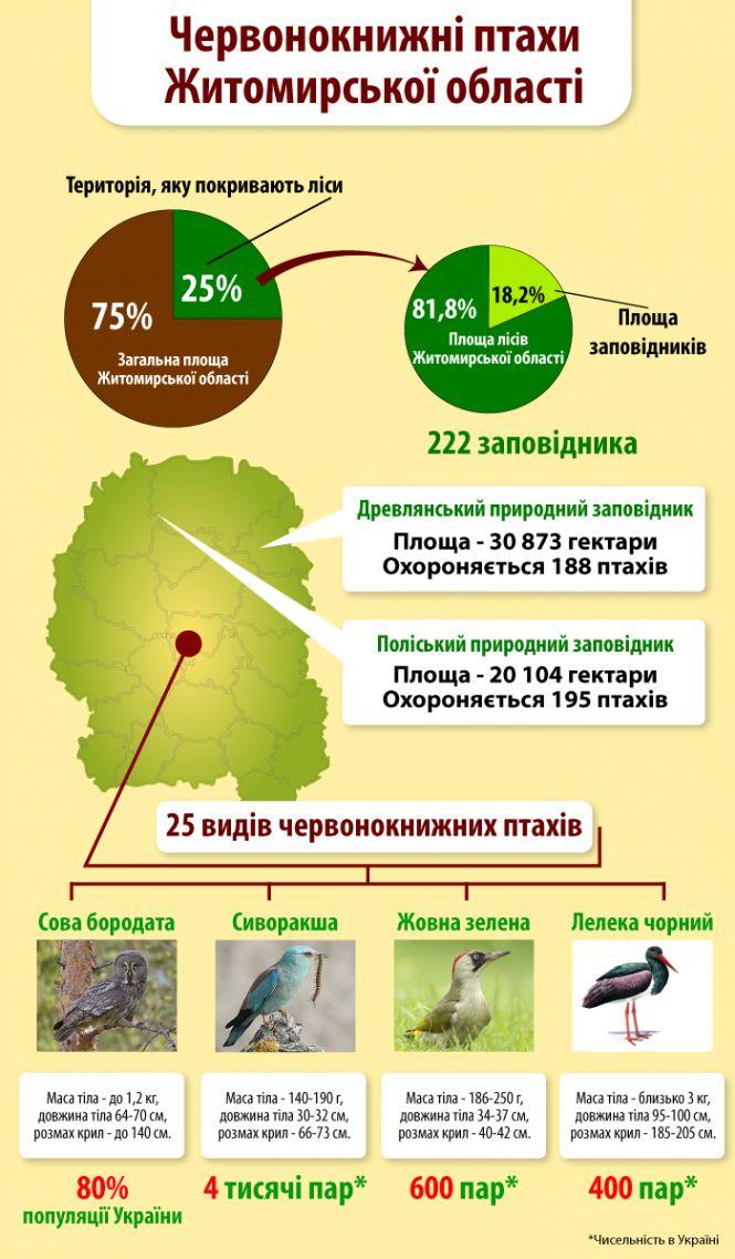 Новини Житомира - фото з «Перната байдужість»: як у Європі дбають про тих, кого в Україні знищують «Перната байдужість»: як у Європі дбають про тих, кого в Україні знищують, фото №1 на сайті 20minut.ua