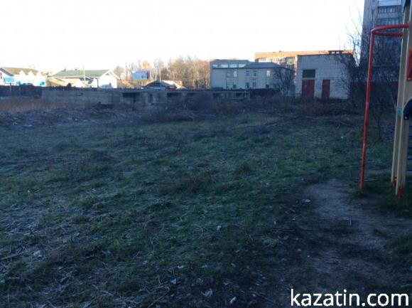 В Козятині розпочалися  перші заморозки, фото №4 на сайті 20minut.ua