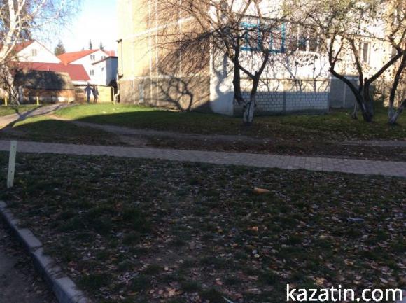 В Козятині розпочалися  перші заморозки, фото №9 на сайті 20minut.ua