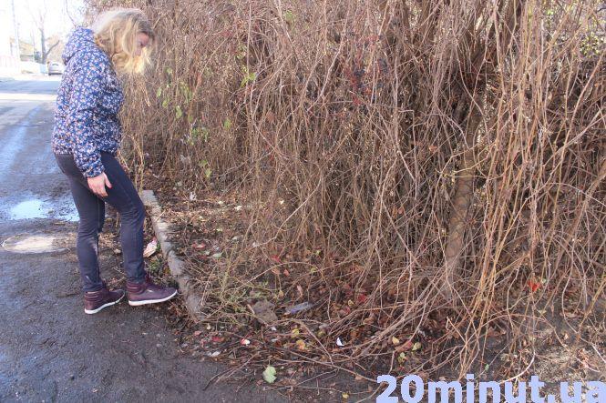 Новини Тернополя - фото з Люди викидають сміття на приватну територію, бо біля будинку немає контейнерів Люди викидають сміття на приватну територію, бо біля будинку немає контейнерів, фото №1 на сайті 20minut.ua