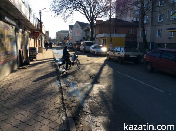 В Козятині розпочалися  перші заморозки, фото №14 на сайті 20minut.ua