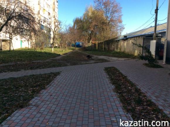 В Козятині розпочалися  перші заморозки, фото №10 на сайті 20minut.ua