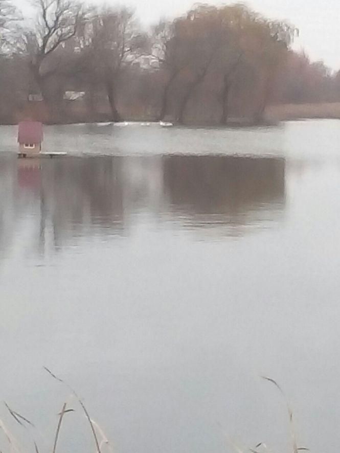 Козятин 17 листопада, фото №15 на сайті 20minut.ua