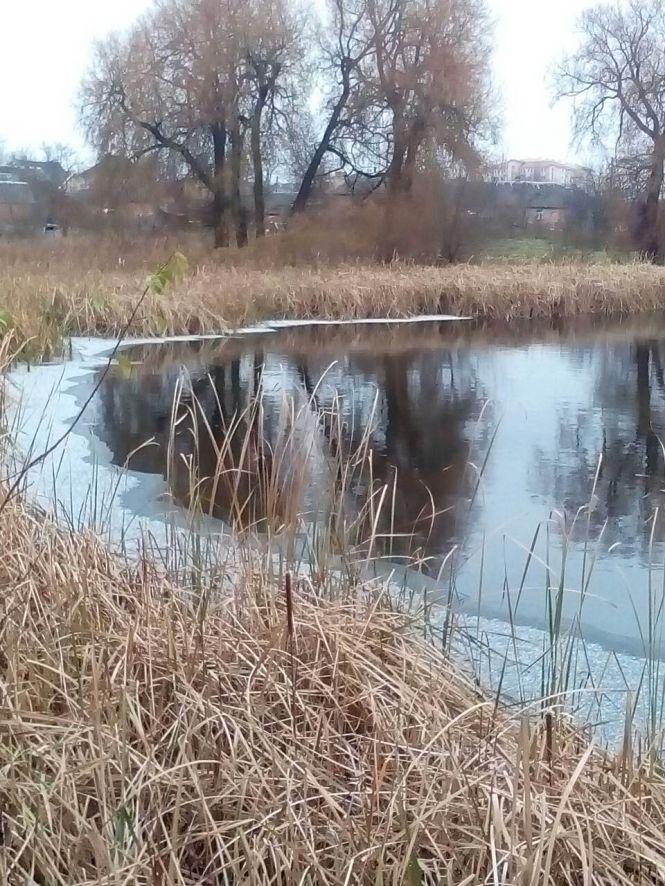 Козятин 17 листопада, фото №17 на сайті 20minut.ua