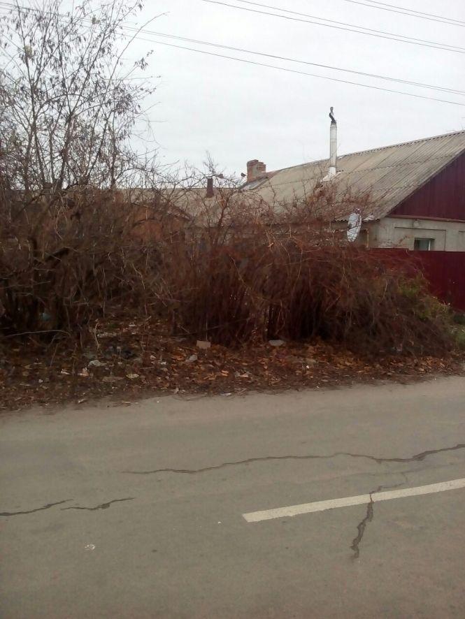 Козятин 17 листопада, фото №1 на сайті 20minut.ua