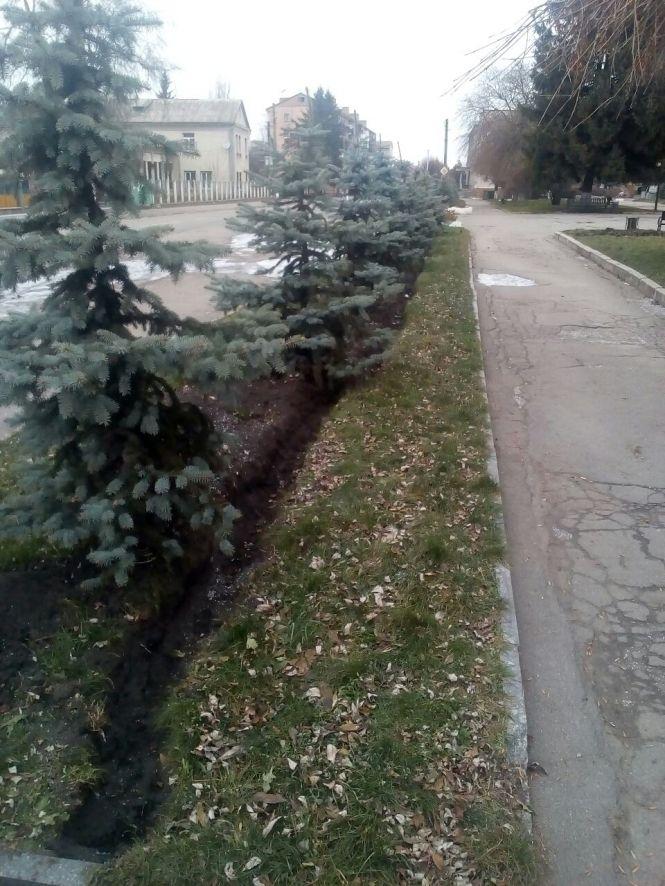 Козятин 17 листопада, фото №7 на сайті 20minut.ua