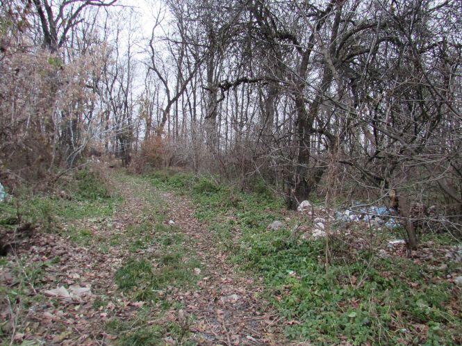 Новини Козятина - фото з Виявилося, що лісосмугу вирізає локомотивне депо (ОНОВЛЕНО) Виявилося, що лісосмугу вирізає локомотивне депо (ОНОВЛЕНО), фото №2 на сайті 20minut.ua