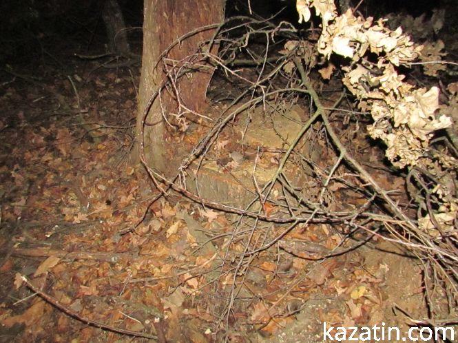 Новини Козятина - фото з Виявилося, що лісосмугу вирізає локомотивне депо (ОНОВЛЕНО) Виявилося, що лісосмугу вирізає локомотивне депо (ОНОВЛЕНО), фото №12 на сайті 20minut.ua