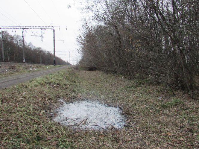 Новини Козятина - фото з Виявилося, що лісосмугу вирізає локомотивне депо (ОНОВЛЕНО) Виявилося, що лісосмугу вирізає локомотивне депо (ОНОВЛЕНО), фото №1 на сайті 20minut.ua