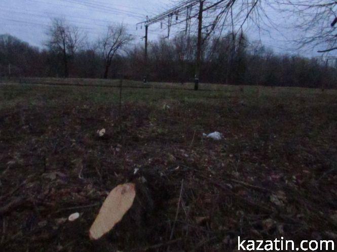 Новини Козятина - фото з Виявилося, що лісосмугу вирізає локомотивне депо (ОНОВЛЕНО) Виявилося, що лісосмугу вирізає локомотивне депо (ОНОВЛЕНО), фото №9 на сайті 20minut.ua