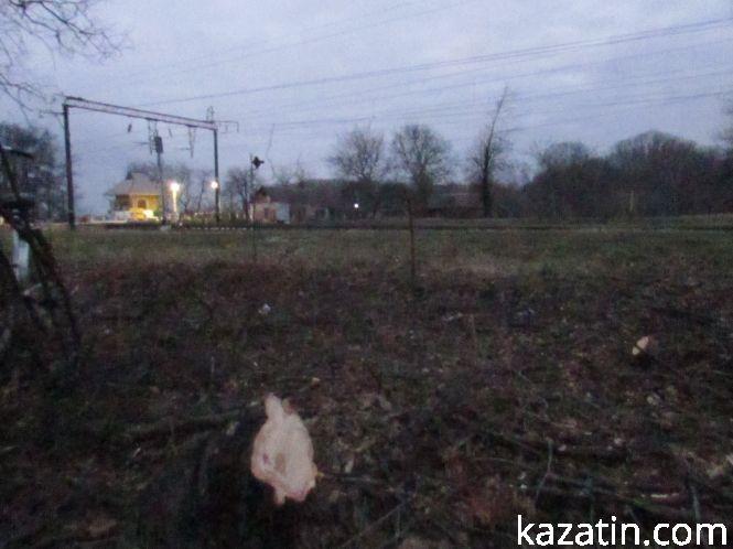 Новини Козятина - фото з Виявилося, що лісосмугу вирізає локомотивне депо (ОНОВЛЕНО) Виявилося, що лісосмугу вирізає локомотивне депо (ОНОВЛЕНО), фото №10 на сайті 20minut.ua