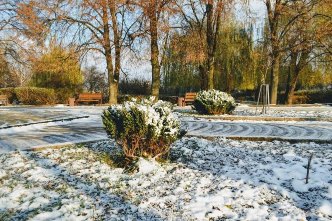 Новини Хмельницького - фото з Парк Чекмана вкрило першим снігом (ФОТО) Парк Чекмана вкрило першим снігом (ФОТО), фото №3 на сайті vsim.ua