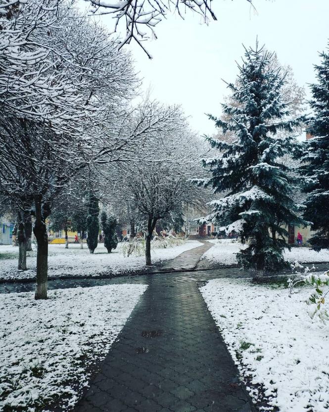 Новини Тернополя - фото з Як виглядають засніжені вулички в містечках Тернопільщини. Підбірка фото з Instagram Як виглядають засніжені вулички в містечках Тернопільщини. Підбірка фото з Instagram, фото №1 на сайті 20minut.ua