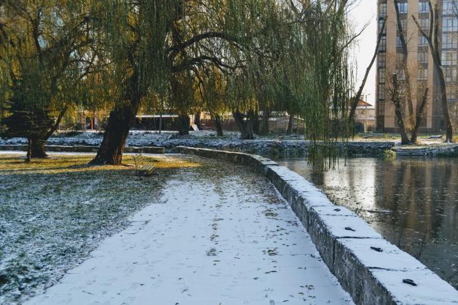 Новини Хмельницького - фото з Парк Чекмана вкрило першим снігом (ФОТО) Парк Чекмана вкрило першим снігом (ФОТО), фото №17 на сайті vsim.ua