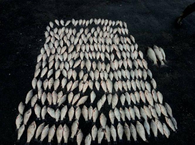 Понад 100 кілограмів риби та раків: на Хмельниччині попалися браконьєри з гарним уловом, фото №1 на сайті vsim.ua