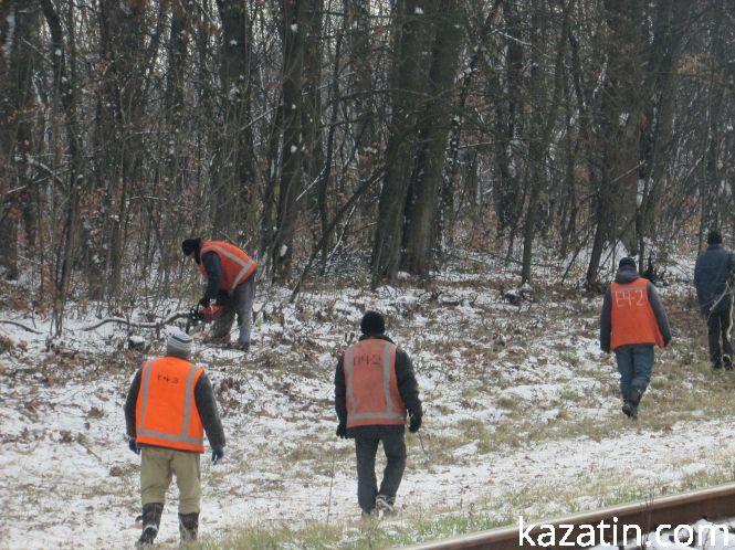 Новини Козятина - фото з Які ж дерева вирізають біля переїзду 1009 кілометрі? Які ж дерева вирізають біля переїзду 1009 кілометрі?, фото №22 на сайті 20minut.ua