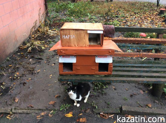 Новини Козятина - фото з Доброта рятує світ Доброта рятує світ, фото №4 на сайті 20minut.ua