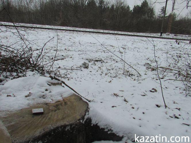 Новини Козятина - фото з Які ж дерева вирізають біля переїзду 1009 кілометрі? Які ж дерева вирізають біля переїзду 1009 кілометрі?, фото №13 на сайті 20minut.ua