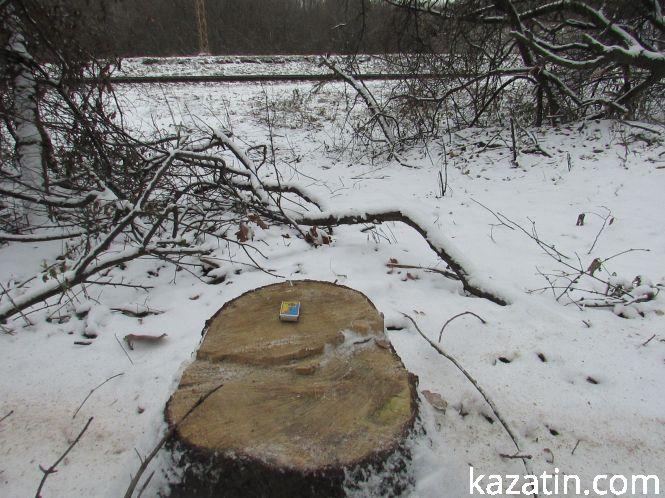 Новини Козятина - фото з Які ж дерева вирізають біля переїзду 1009 кілометрі? Які ж дерева вирізають біля переїзду 1009 кілометрі?, фото №15 на сайті 20minut.ua
