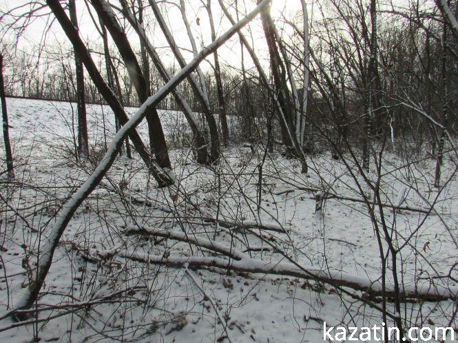 Новини Козятина - фото з Які ж дерева вирізають біля переїзду 1009 кілометрі? Які ж дерева вирізають біля переїзду 1009 кілометрі?, фото №17 на сайті 20minut.ua