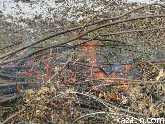 Новини Козятина - фото з Які ж дерева вирізають біля переїзду 1009 кілометрі? Які ж дерева вирізають біля переїзду 1009 кілометрі?, фото №19 на сайті 20minut.ua