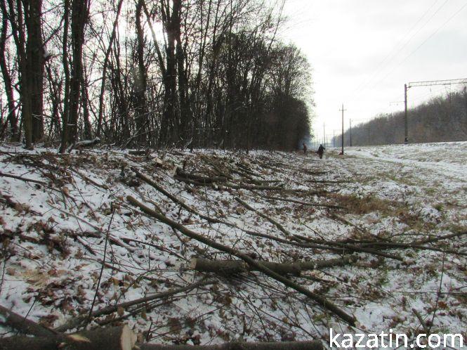 Новини Козятина - фото з Які ж дерева вирізають біля переїзду 1009 кілометрі? Які ж дерева вирізають біля переїзду 1009 кілометрі?, фото №20 на сайті 20minut.ua