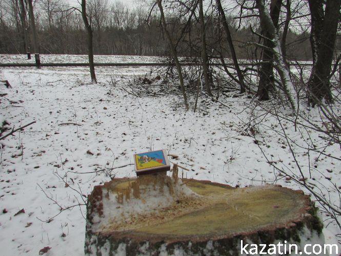 Новини Козятина - фото з Які ж дерева вирізають біля переїзду 1009 кілометрі? Які ж дерева вирізають біля переїзду 1009 кілометрі?, фото №7 на сайті 20minut.ua