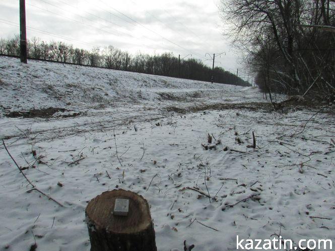Новини Козятина - фото з Які ж дерева вирізають біля переїзду 1009 кілометрі? Які ж дерева вирізають біля переїзду 1009 кілометрі?, фото №16 на сайті 20minut.ua
